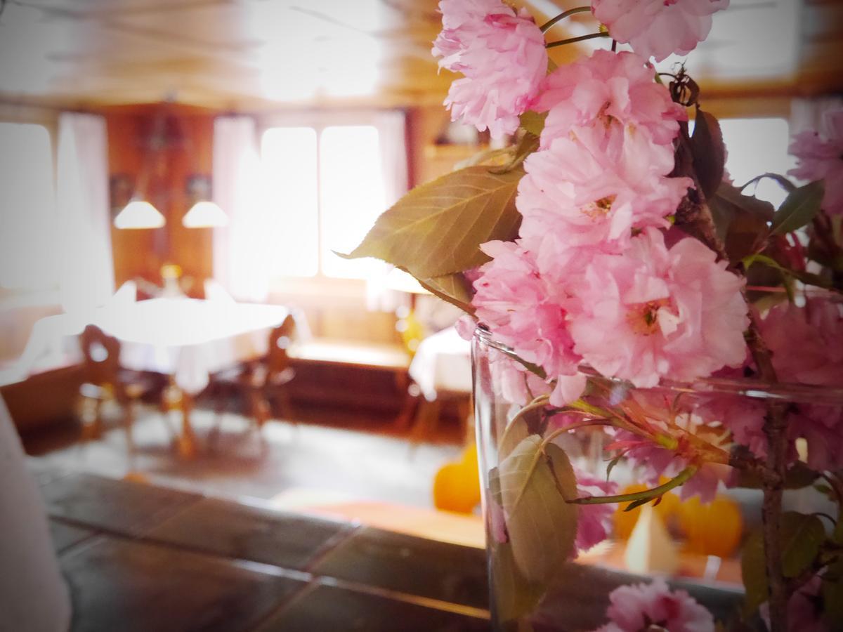Zum Hirschen - Hotel & Gasthaus Beim Stoeckeler シャイデック エクステリア 写真